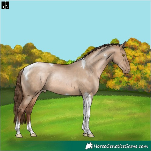 Horse Color:Brown Pearl Dun Tobiano Rabicano