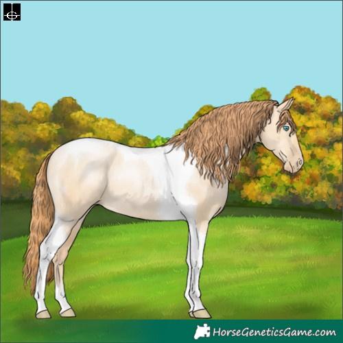 Horse Color:Buckskin Pearl Dun Tobiano 
