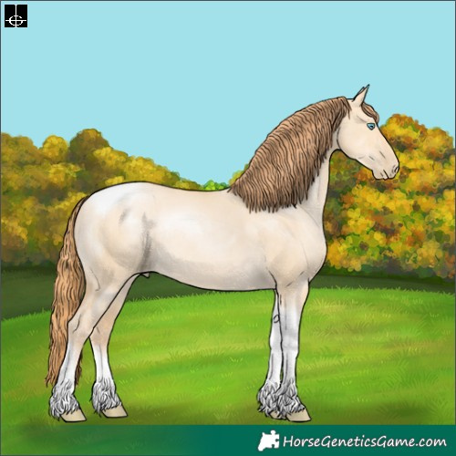 Horse Color:Buckskin Pearl Dun Tobiano Rabicano 