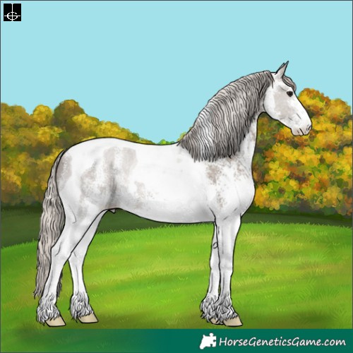 Horse Color:White Spotted Silver Grullo Tobiano 