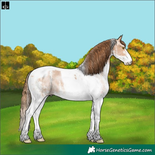 Horse Color:White Spotted Brown Pearl Tobiano 