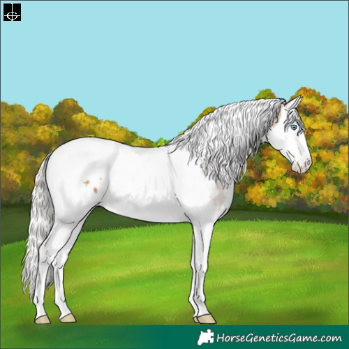 Horse Color:White Spotted Silver Black Pearl Splash Tobiano Appaloosa Rabicano 