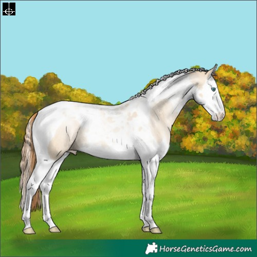 Horse Color:Smoky Grullo Pearl Splash Tobiano Varnish Rabicano