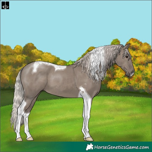 Horse Color:Silver Grullo Tobiano 