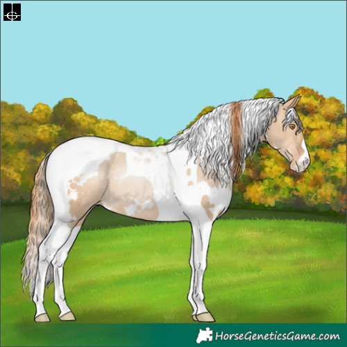 Horse Color:White Spotted Brown Pearl Dun Tobiano Varnish Rabicano 