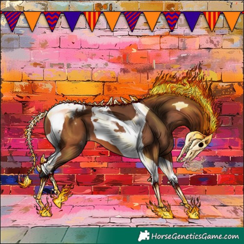 Horse Color:Bay Tobiano Blanket 