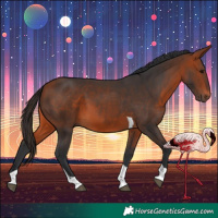 Horse Color:Bay Tobiano 