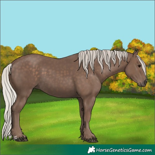 Horse Color:Silver Black 