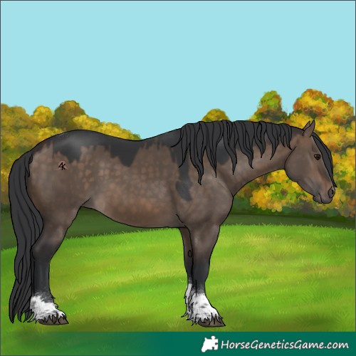 Horse Color:Brown Dun Tobiano 