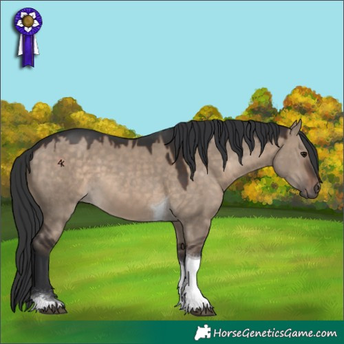 Horse Color:Brown Dun Tobiano 