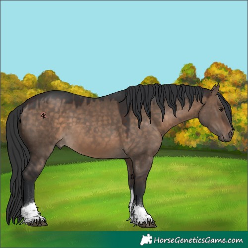 Horse Color:Brown Dun Tobiano