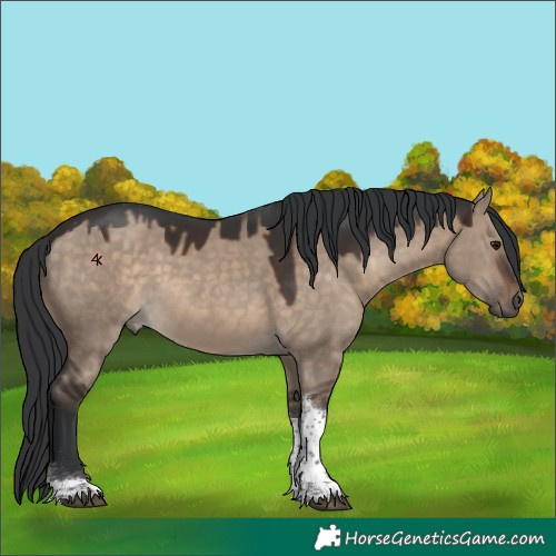 Horse Color:Brown Dun Tobiano 