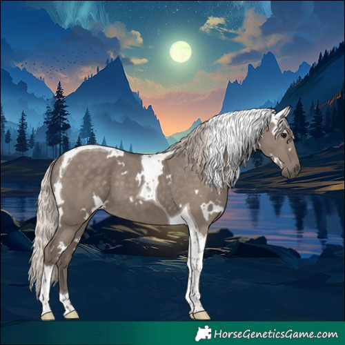 Horse Color:White Spotted Silver Grullo Tobiano 