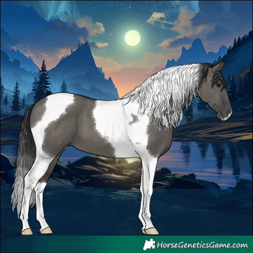 Horse Color:Grullo Tobiano 