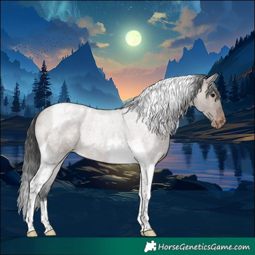 Horse Color:Brown Roan Dun Tobiano Appaloosa 