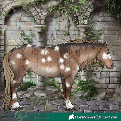 Horse Color:Liver Red Dun Tobiano Rabicano Brindle