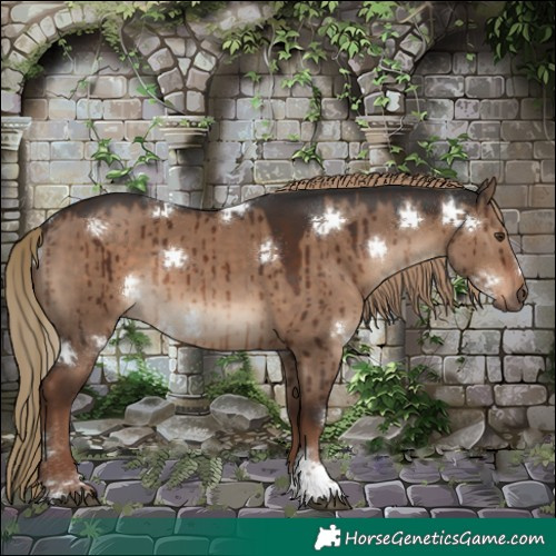 Horse Color:Liver Red Dun Tobiano Rabicano Brindle 