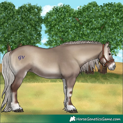 Horse Color:Silver Grullo Onyx Rabicano