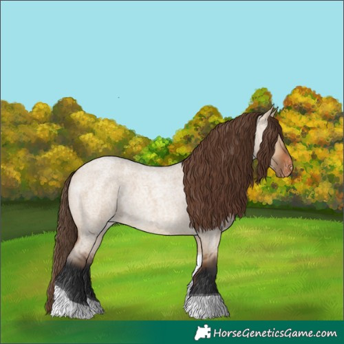 Horse Color:Bay Roan Dun Tobiano Appaloosa 