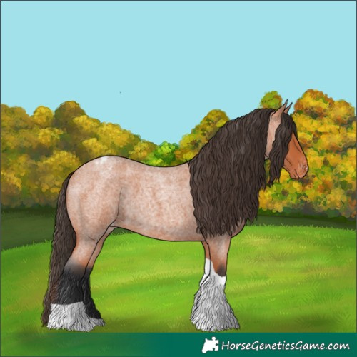 Horse Color:Bay Roan Tobiano Appaloosa 