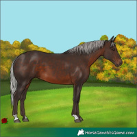 Horse Color:Silver Brown