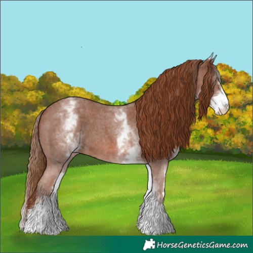 Horse Color:White Spotted Chestnut Sabino 