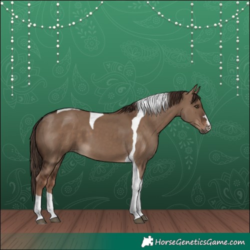 Horse Color:Liver Red Dun Tobiano