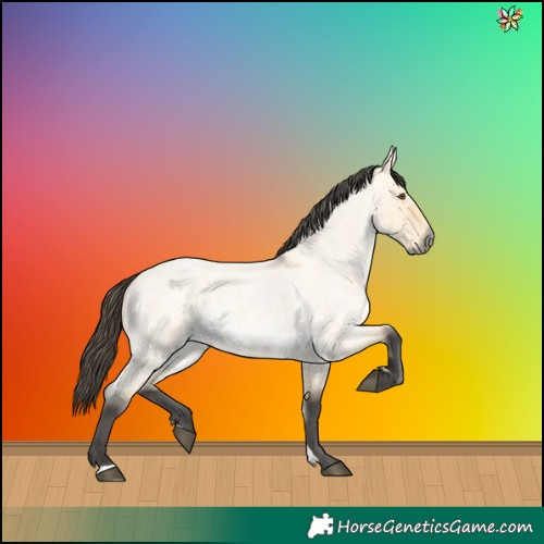 Horse Color:Buckskin Roan Dun
