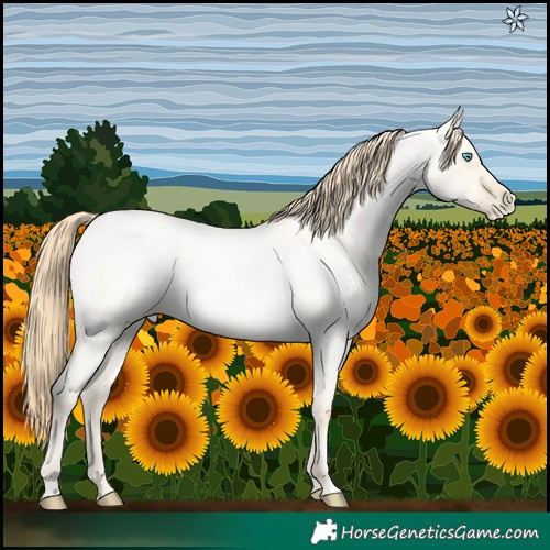 Horse Color:Buckskin Roan Pearl Dun