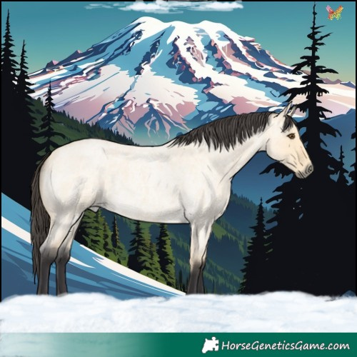 Horse Color:Buckskin Roan Dun