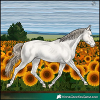 Horse Color:Perlino Roan Dun