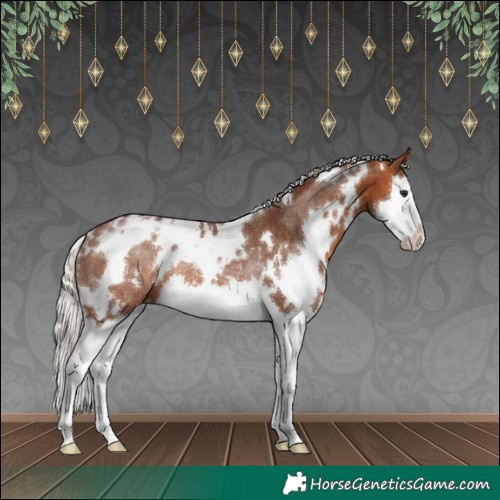 Horse Color:White Spotted Silver Brown Splash Appaloosa Rabicano 