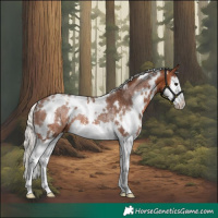 Horse Color:White Spotted Silver Brown Splash Varnish Rabicano 