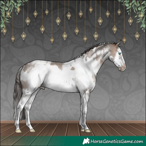 Horse Color:White Spotted Brown Dun Sabino Splash Frame Appaloosa Rabicano 