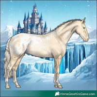 Horse Color:Palomino Pearl Appaloosa Rabicano