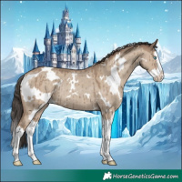 Horse Color:White Spotted Classic Champagne Dun Splash Rabicano Brindle 