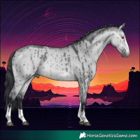 Horse Color:Bay Chinchilla Dun Brindle 