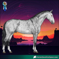 Horse Color:Bay Chinchilla Dun Brindle 