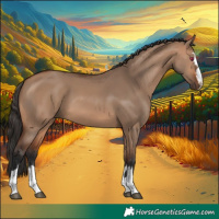 Horse Color:Bay Dun 