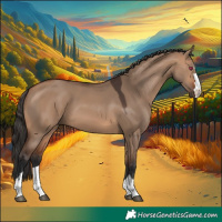 Horse Color:Bay Dun