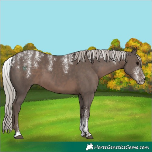 Horse Color:Powder White Silver Black 
