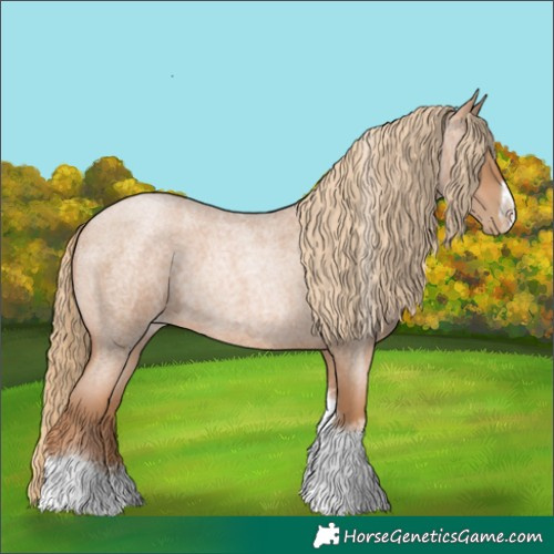 Horse Color:Red Roan Pearl Tobiano Frame
