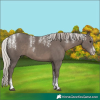 Horse Color:Powder White Silver Black