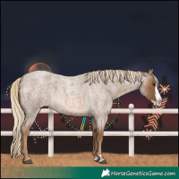 Horse Color:Chocolate Palomino Roan Splash 
