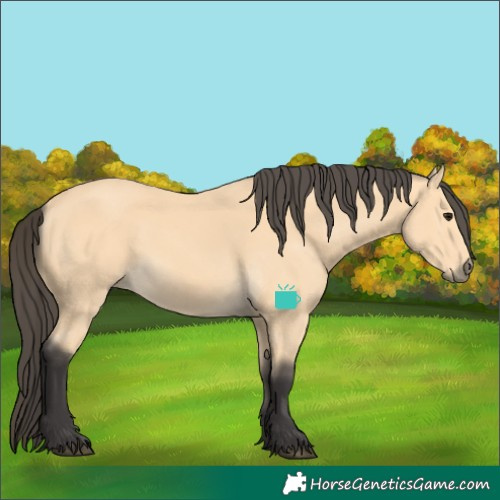 Horse Color:Buckskin