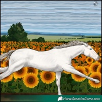 Horse Color:Perlino Roan Dun