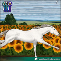Horse Color:Perlino Roan Dun 
