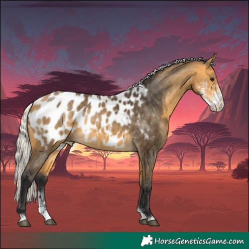 Horse Color:Silver Buckskin Sabino Near Leopard
