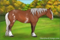 Horse Color:White Spotted Silver Bay Splash