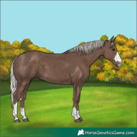 Horse Color:Silver Black